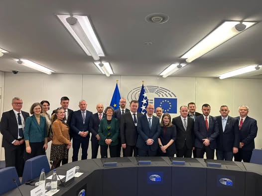 Stier predsjeda sjednicom Parlamentarnog odbora EU-BiH u Strasbourgu